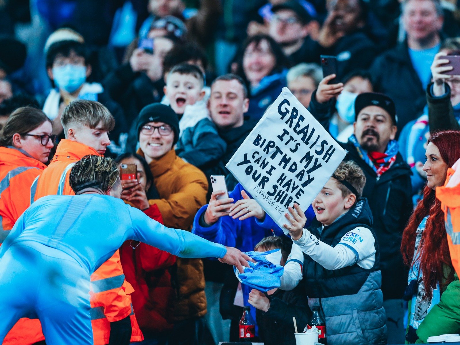 例的限制 例的限制